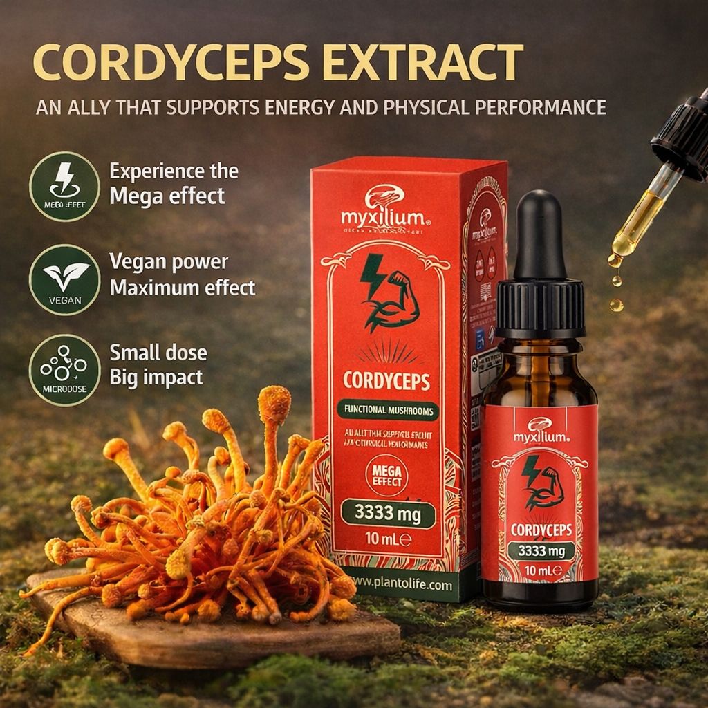 Myxilluim Estratto di Cordyceps 10ml per Grossisti